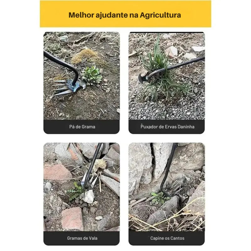 Colagem: arrancador de ervas usado em grama, valas e cantos na agricultura