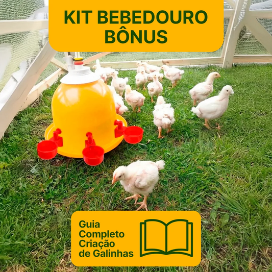 Bebedouro automático para galinhas instalado no galinheiro