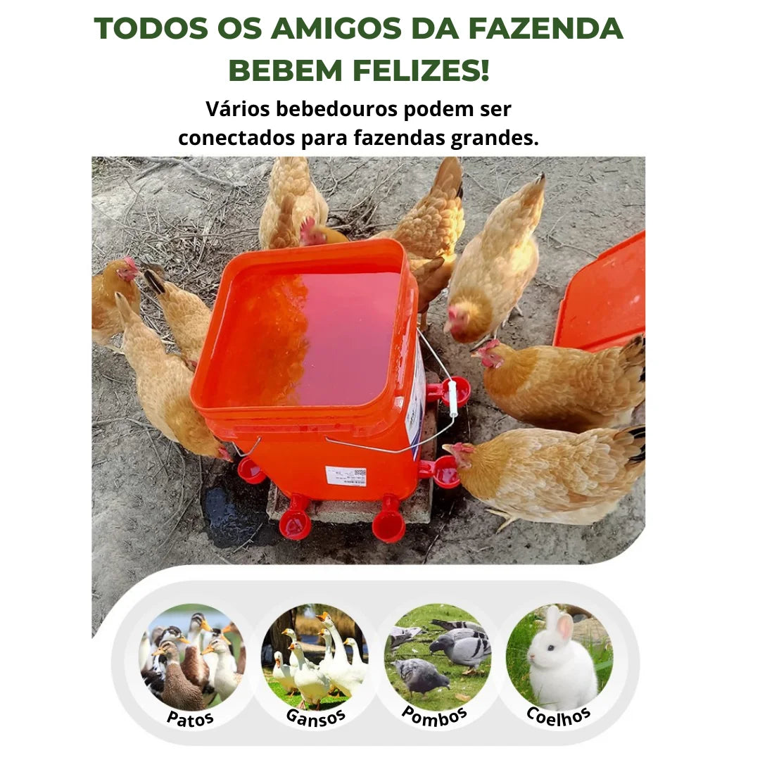 Bebedouro Automático para Aves - ÚLTIMAS UNIDADES NA PROMOÇÃO 🔥