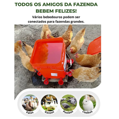 Bebedouro Automático para Aves - Promoção Comprou, Ganhou!