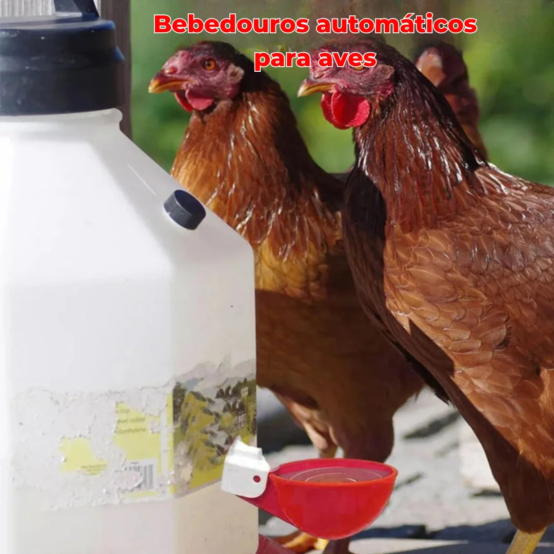 Bebedouro Automático para Aves - Promoção Comprou, Ganhou!