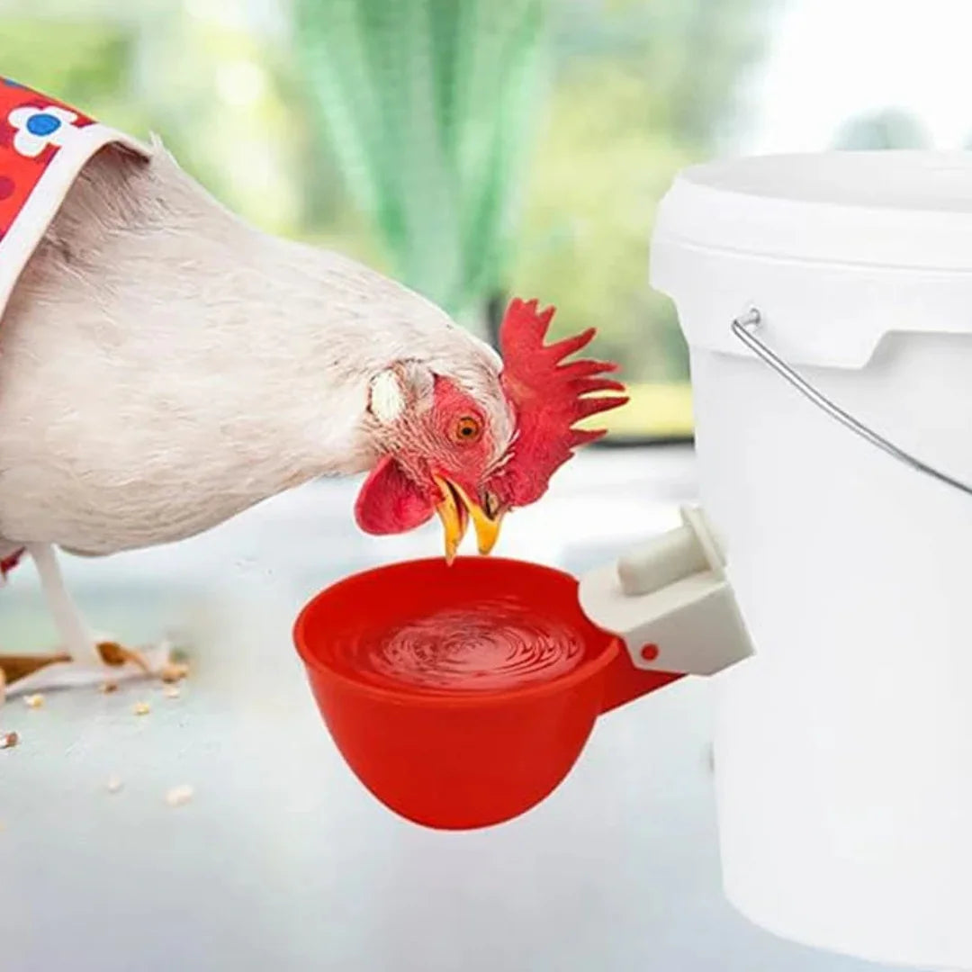 Bebedouro Automático para Aves - ÚLTIMAS UNIDADES NA PROMOÇÃO 🔥