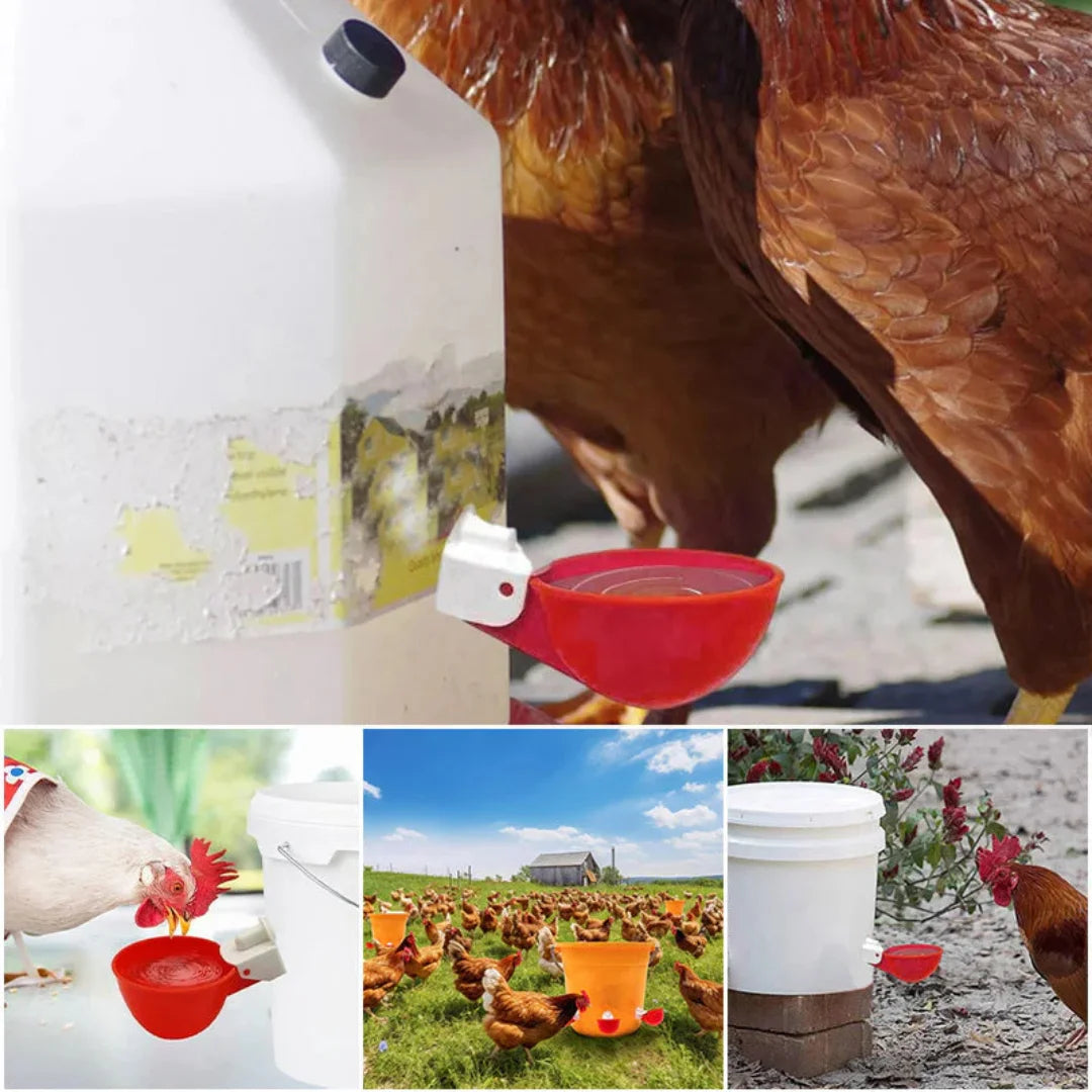 Bebedouro Automático para Aves - ÚLTIMAS UNIDADES NA PROMOÇÃO 🔥