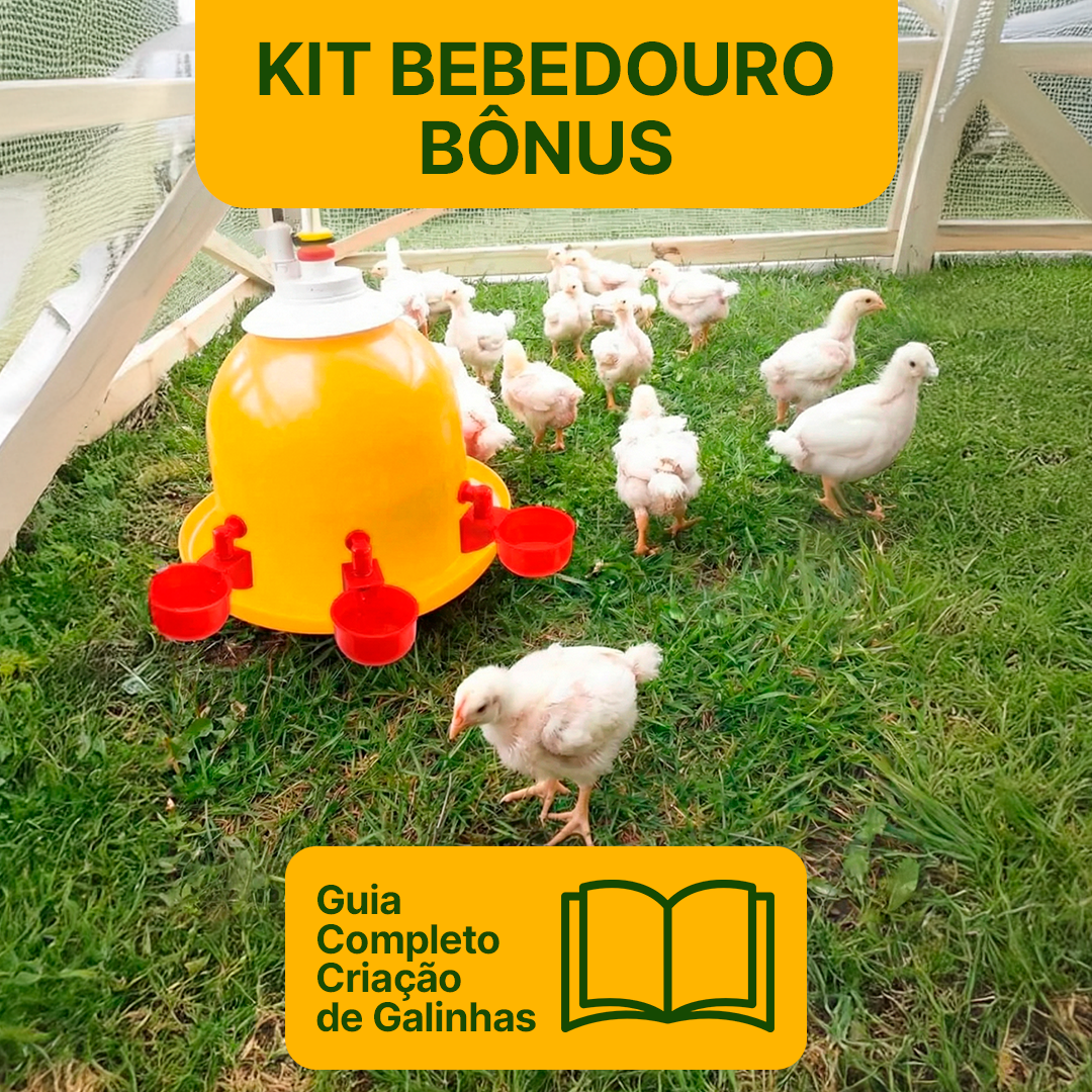 Bebedouro Automático - Sistema Hidráulico