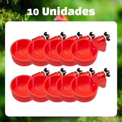 Bebedouro Automático para Aves - Promoção Comprou, Ganhou!