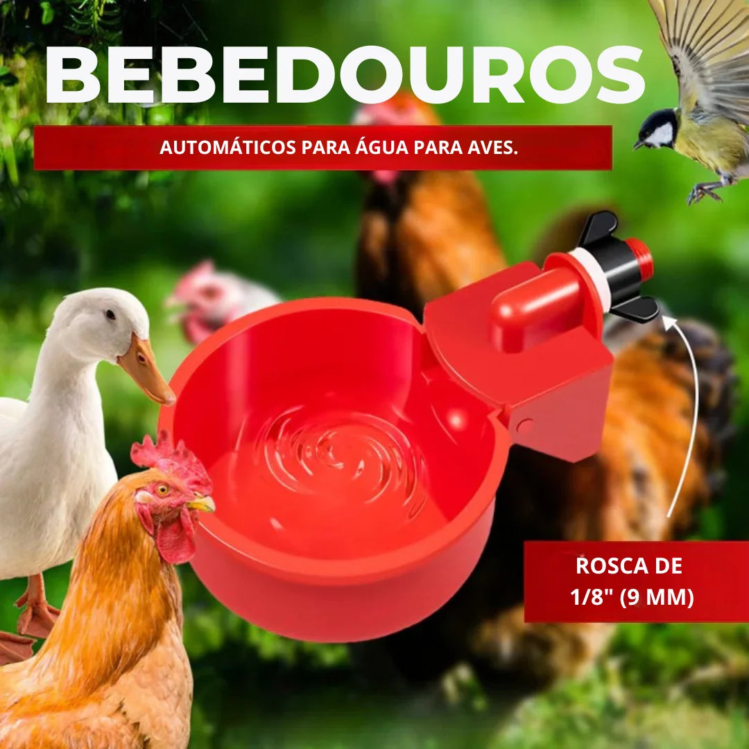 Bebedouro Automático para Aves - ÚLTIMAS UNIDADES NA PROMOÇÃO 🔥