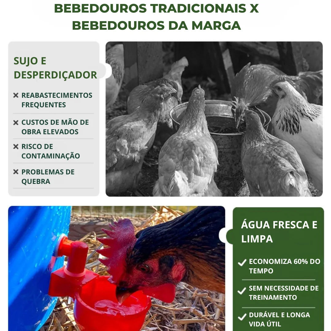 Bebedouro Automático para Aves - ÚLTIMAS UNIDADES NA PROMOÇÃO 🔥