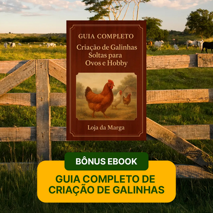 Bebedouro Automático - Sistema Hidráulico