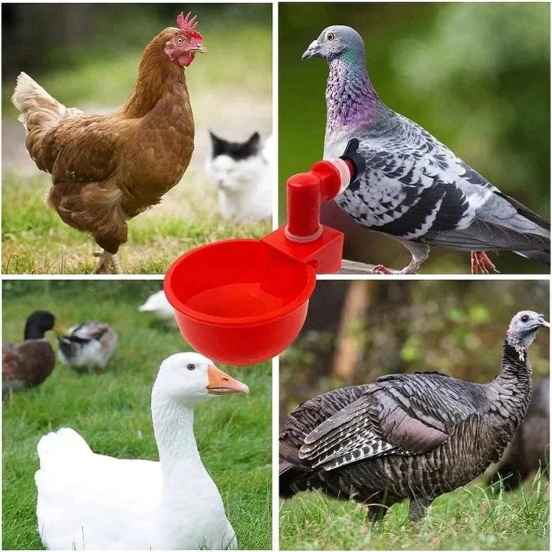 Bebedouro Automático para Aves - ÚLTIMAS UNIDADES NA PROMOÇÃO 🔥