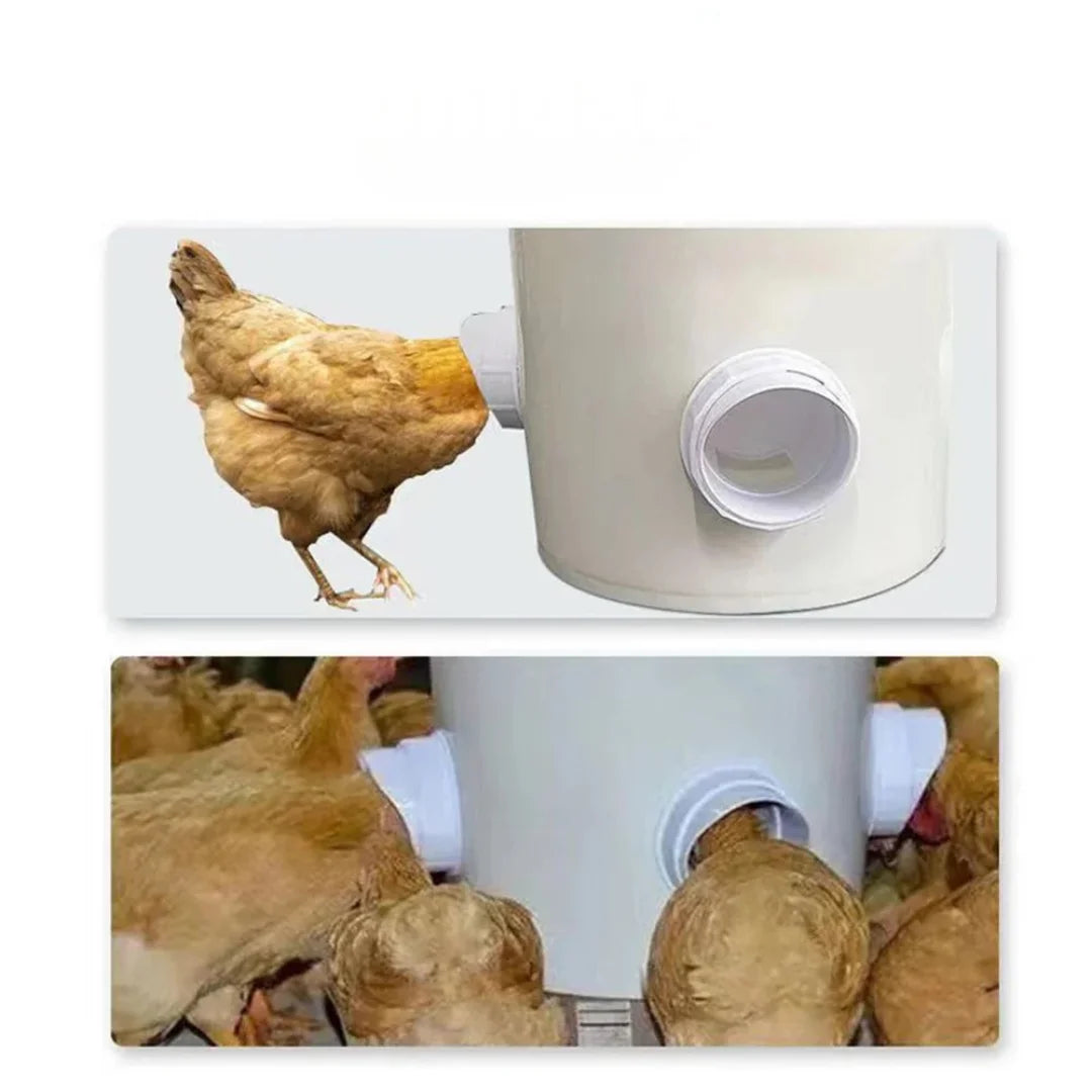 Alimentador Automático para Suas Aves - Marga