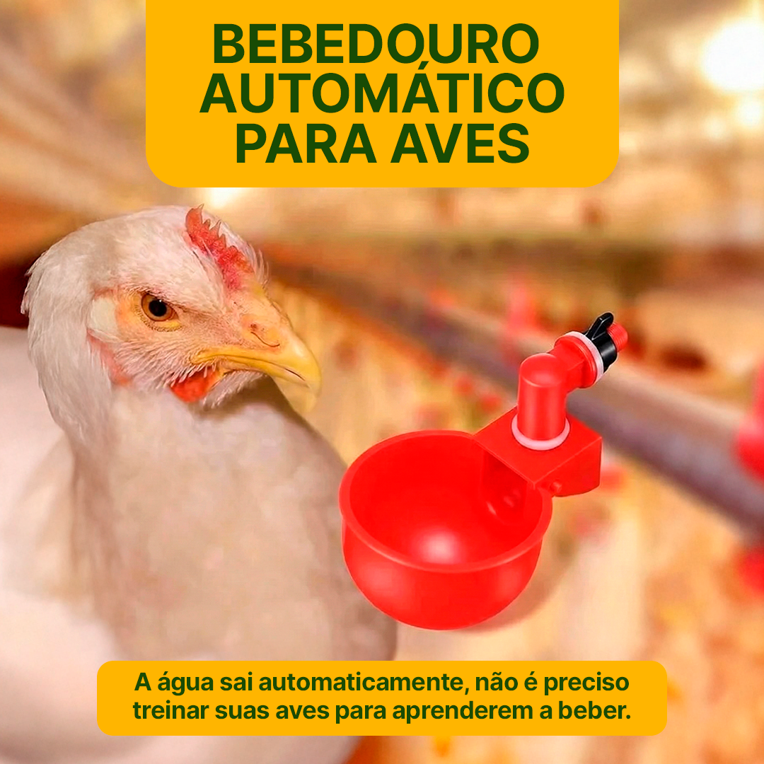 Bebedouro Automático - Sistema Hidráulico