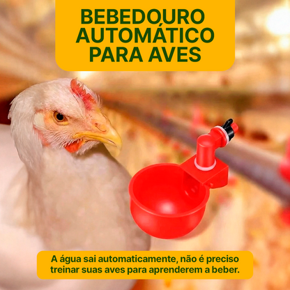 Bebedouro Automático - Sistema Hidráulico