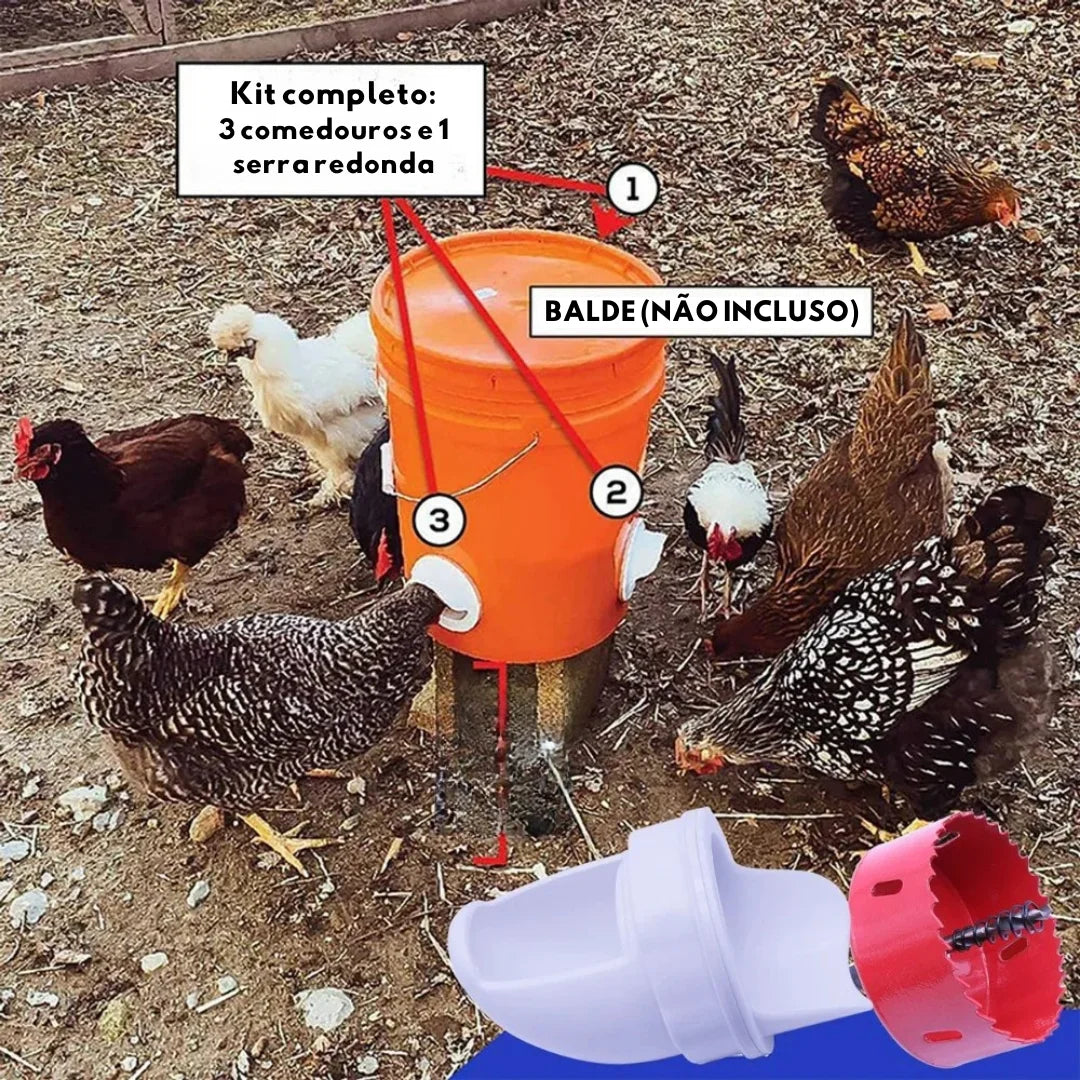 Alimentador Automático para Suas Aves - Marga