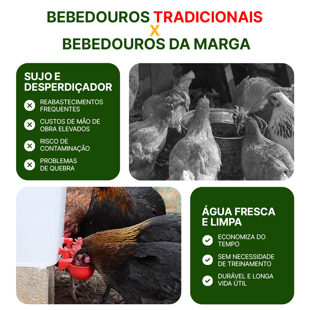Bebedouro Automático - Sistema Hidráulico