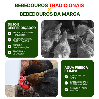 Bebedouro Automático - Sistema Hidráulico