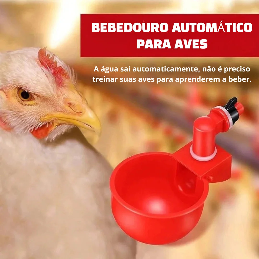 Bebedouro Automático para Aves - ÚLTIMAS UNIDADES NA PROMOÇÃO 🔥