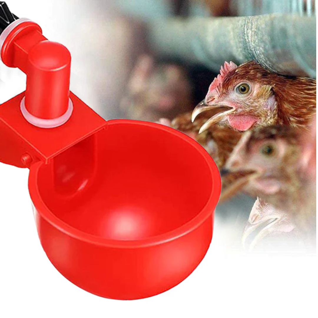 Bebedouro Automático para galinhas - COMPRE E LEVE EM DOBRO