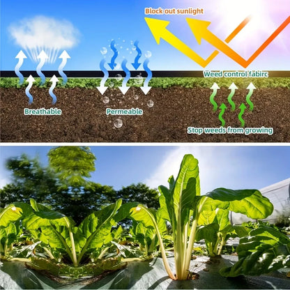 Diga Adeus às Ervas Daninhas! Proteja Seu Solo com a Malha Geotêxtil