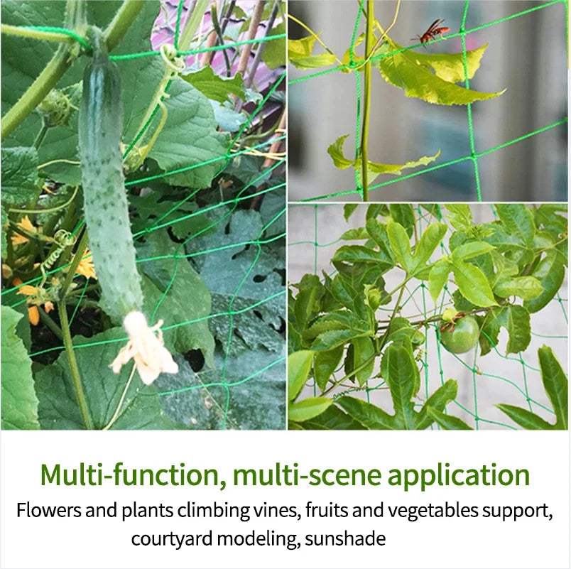 Transforme Seu Jardim com a Rede de Treliça para Plantas Trepadeiras - MARGA