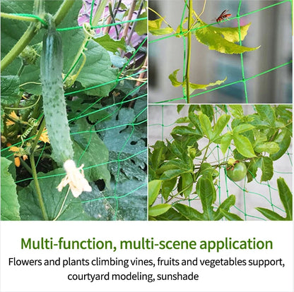 Transforme Seu Jardim com a Rede de Treliça para Plantas Trepadeiras - MARGA