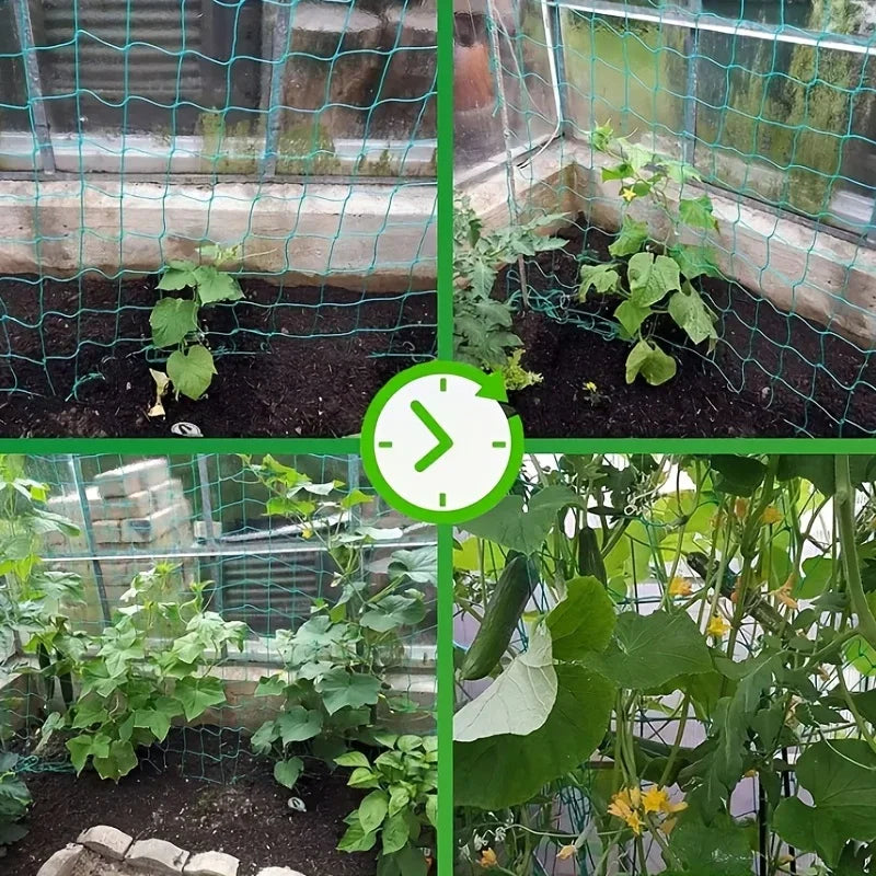 Transforme Seu Jardim com a Rede de Treliça para Plantas Trepadeiras - MARGA