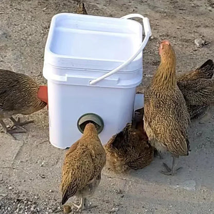Galinhas comendo em alimentador automático instalado em balde branco