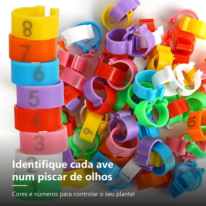 Kit de anilhas coloridas para identificar aves do plantel