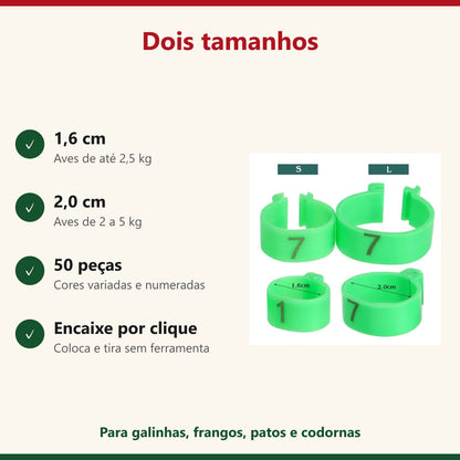 Tamanhos das anilhas para aves: 1,6 cm e 2,0 cm