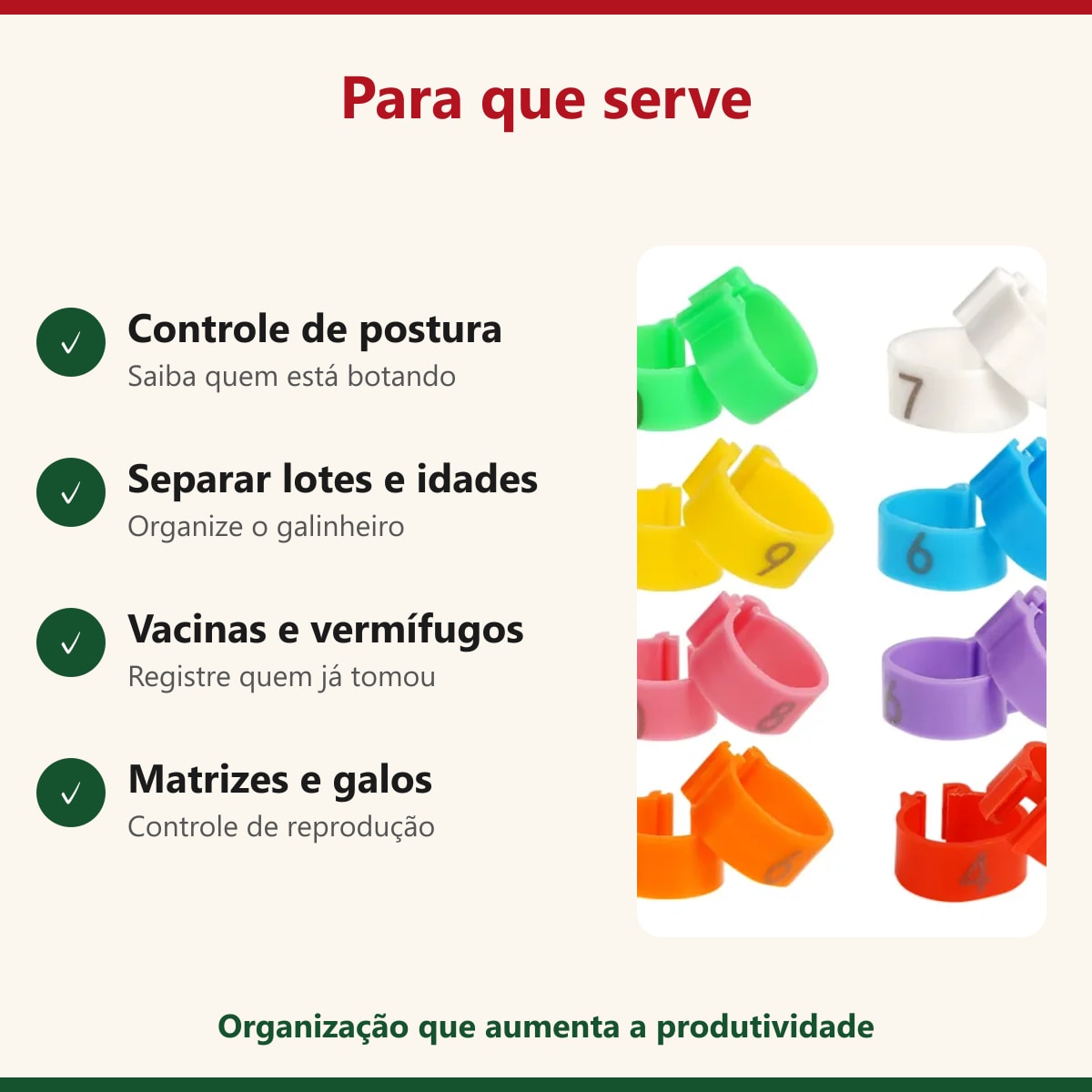 Para que servem as anilhas: controle de postura, lotes, vacinas e reprodução