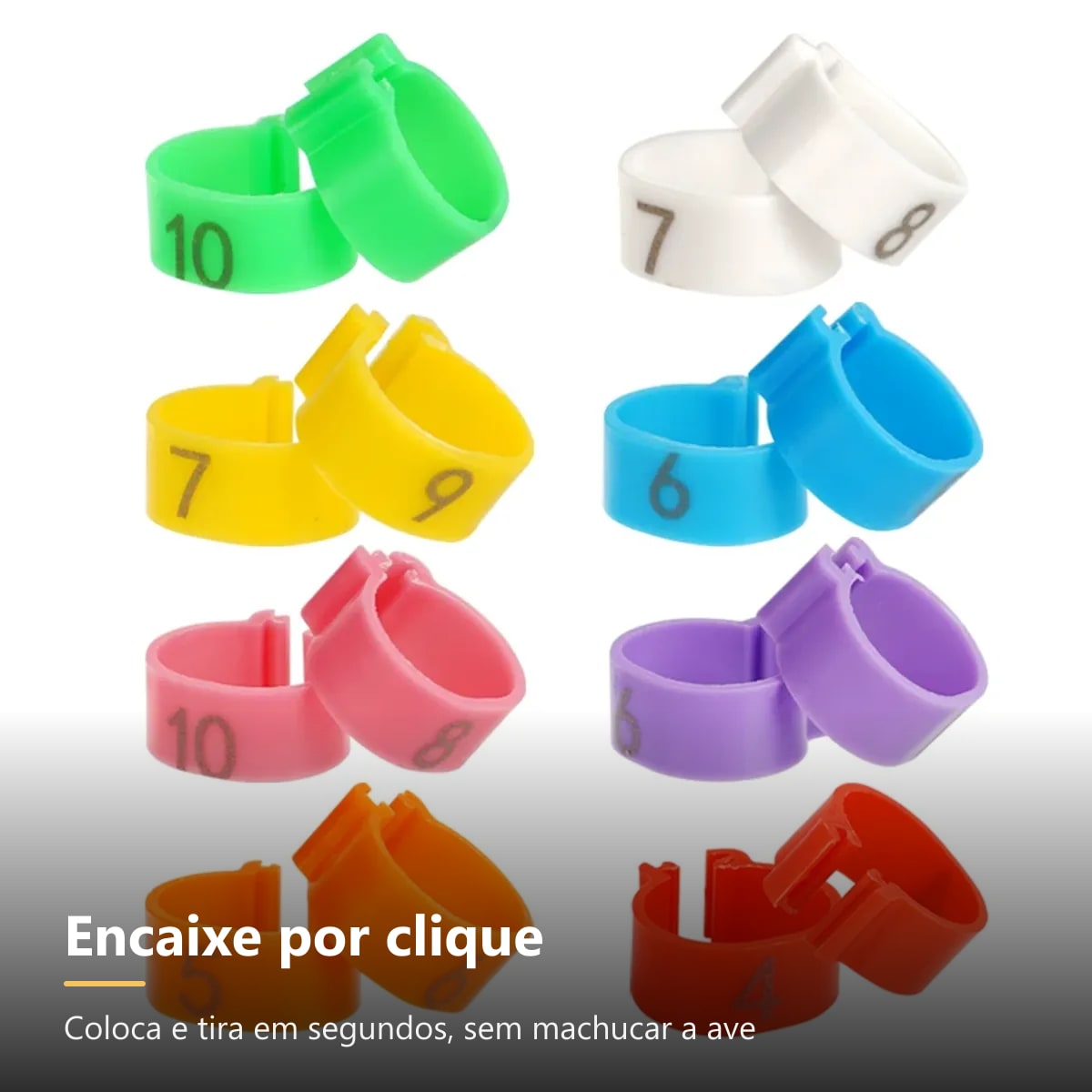 Anilhas para aves com encaixe por clique
