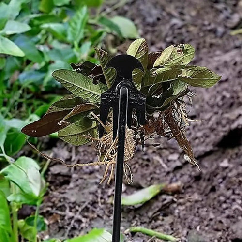 Arrancador de ervas com 4 garras removendo erva daninha do solo