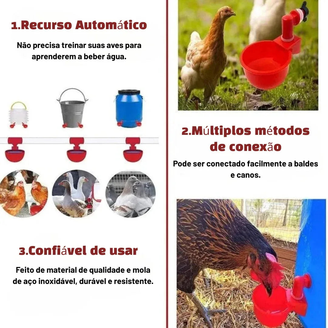 Recursos do bebedouro: automático, múltiplas conexões e construção confiável