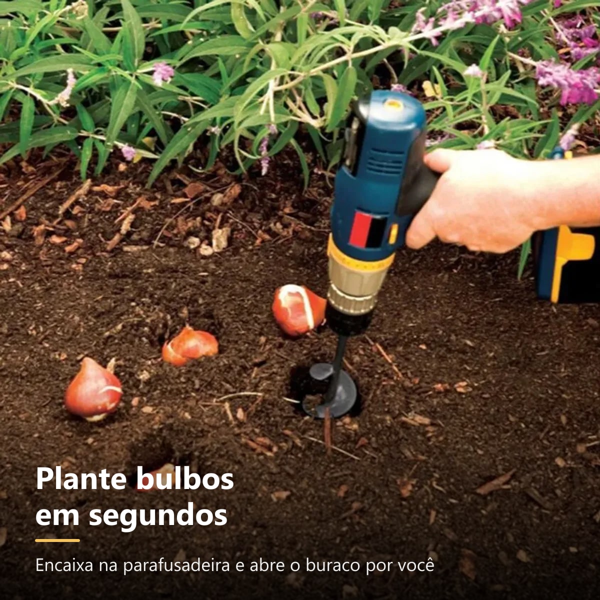 Broca de plantio abrindo cova para bulbos no canteiro