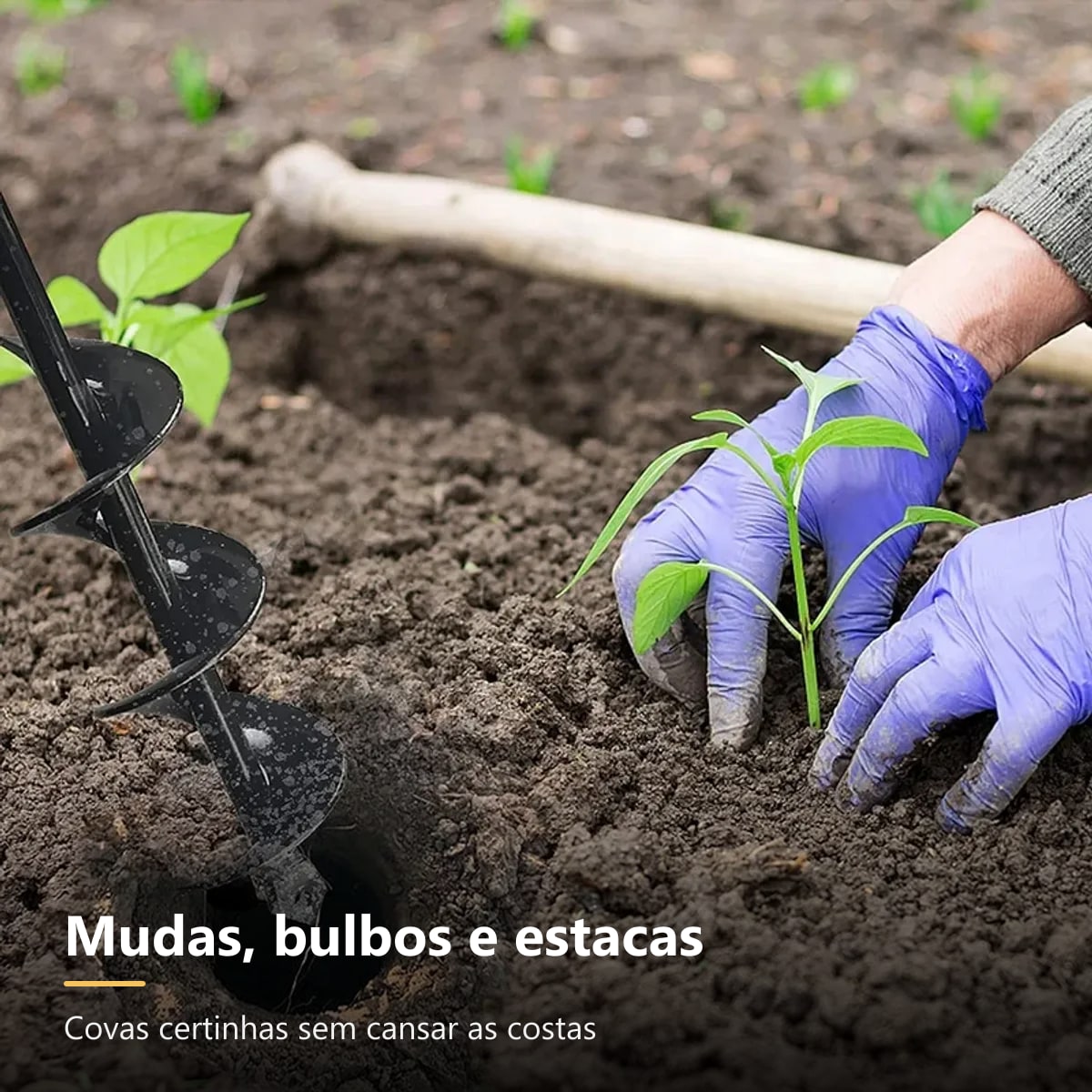 Plantio de mudas em covas abertas com broca de jardim