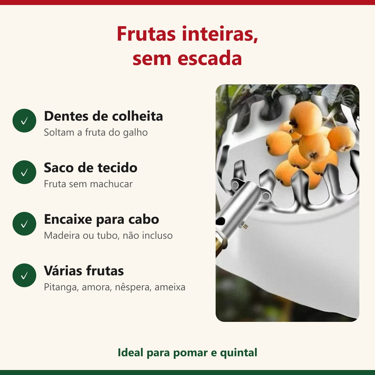 Benefícios do colhedor de frutas: dentes de colheita, saco e encaixe para cabo