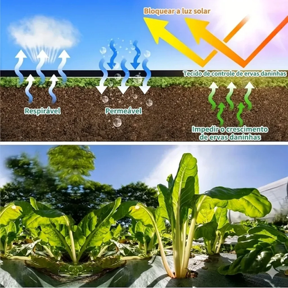 Diagrama explicando como a malha geotêxtil bloqueia luz solar e ervas daninhas