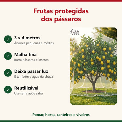 Benefícios da rede de proteção para árvores frutíferas