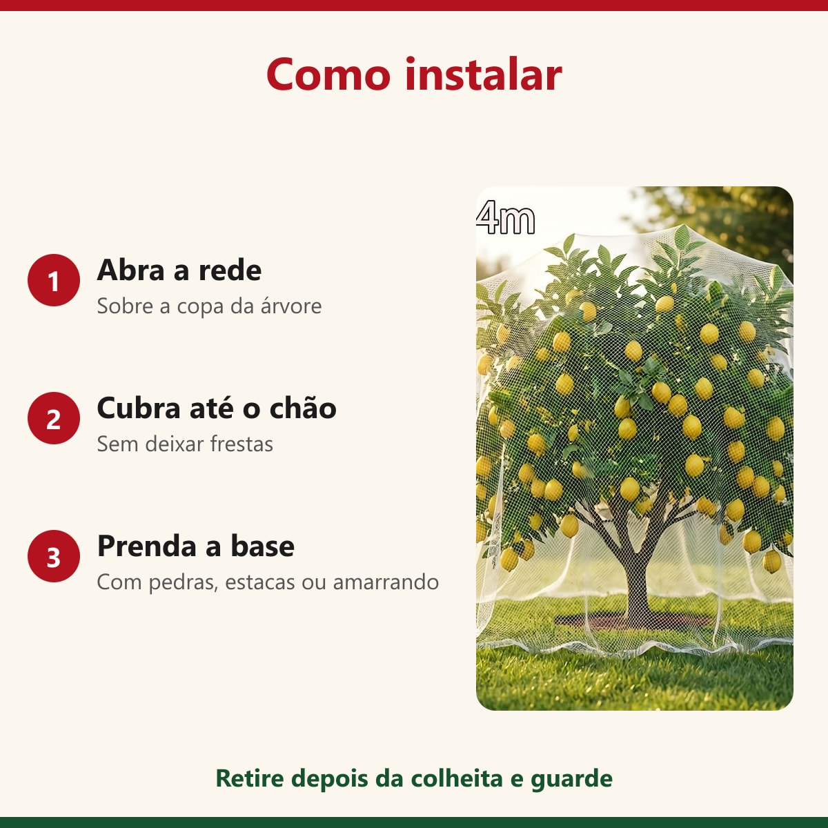Como instalar a rede de proteção na árvore em 3 passos