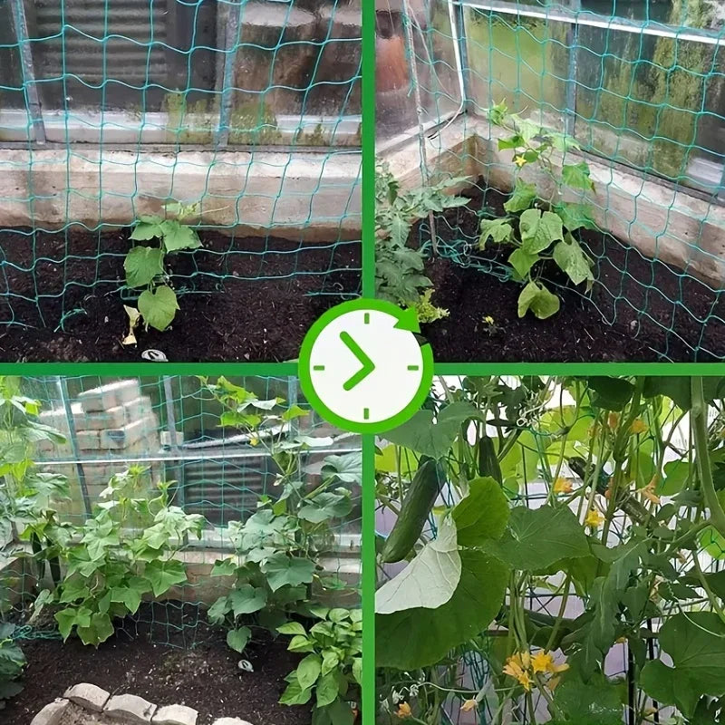 Colagem de plantas crescendo com rede de treliça em estufa