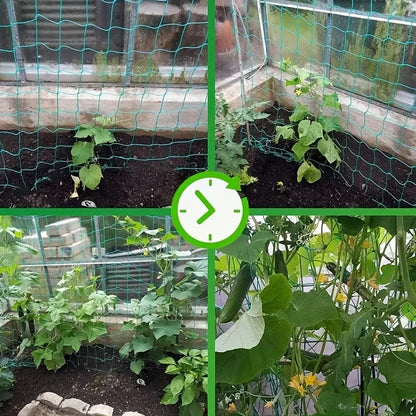 Colagem de plantas crescendo com rede de treliça em estufa