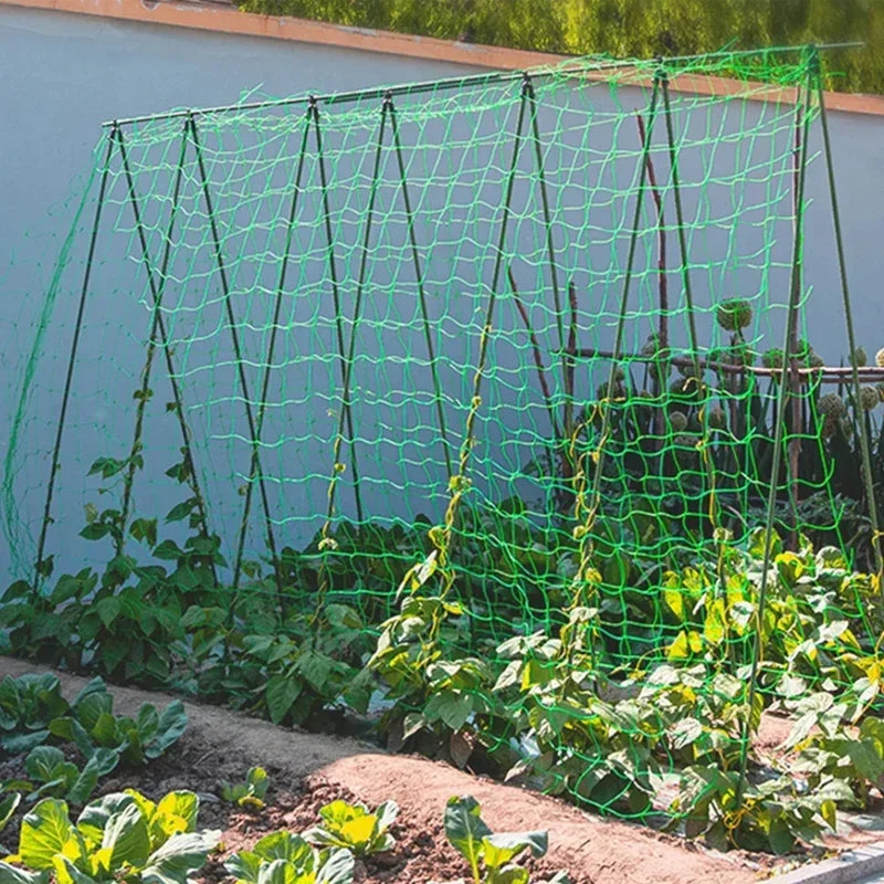 Estrutura em A com rede de treliça instalada em jardim com trepadeiras