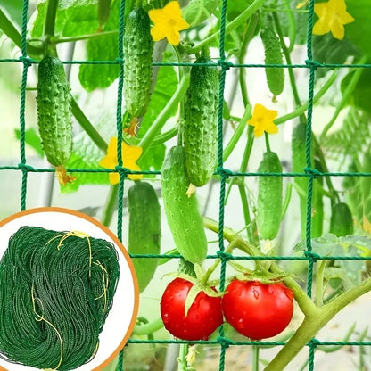 Rede de treliça verde com pepinos e tomates crescendo em estufa
