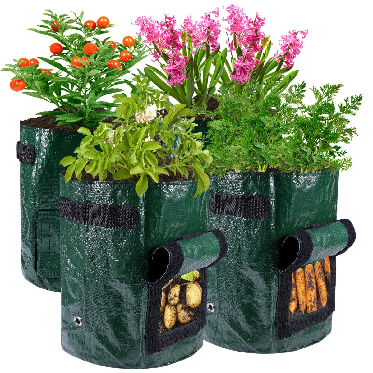 Sacos de cultivo verdes com flores, batatas e cenouras