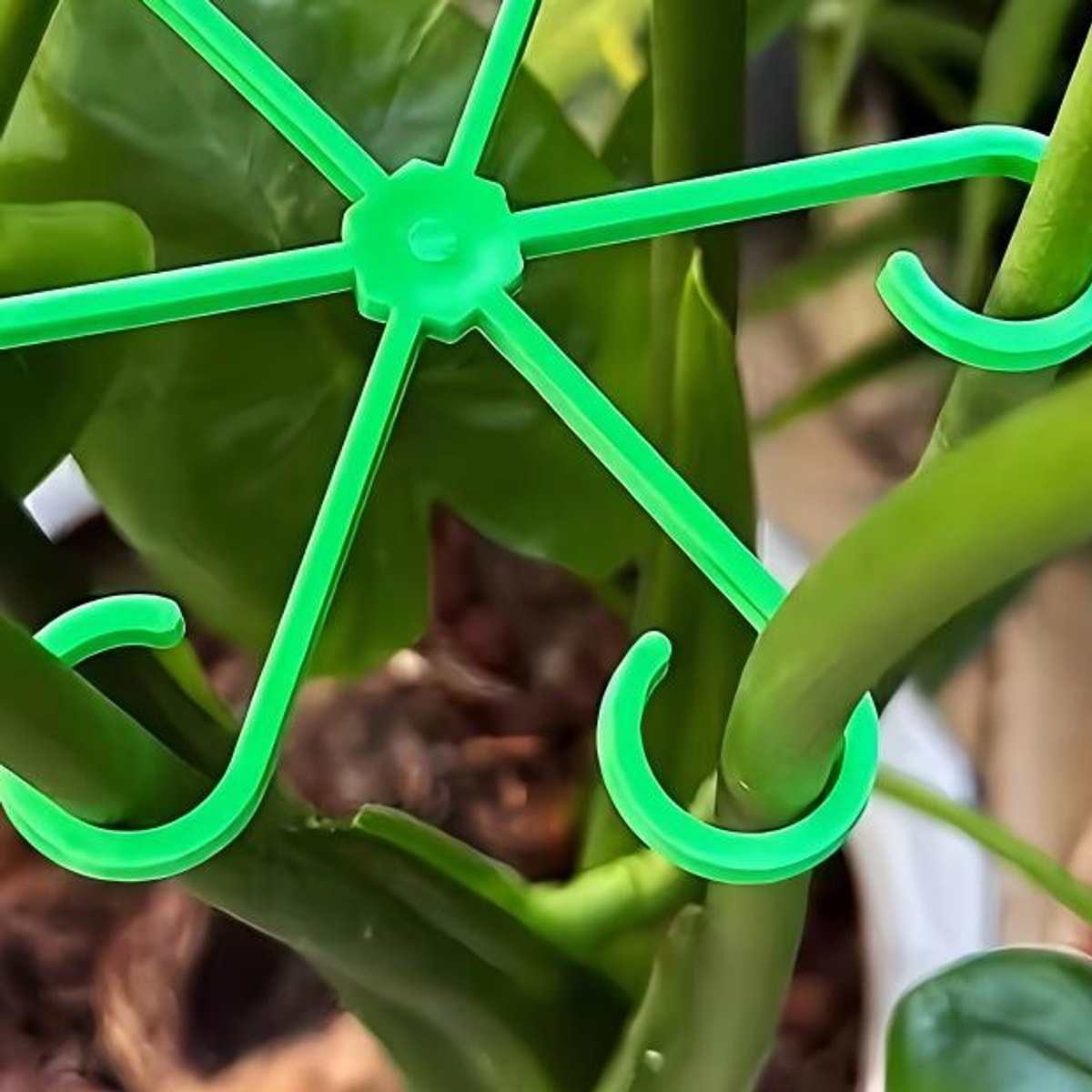 Suporte anti-tombamento verde segurando os galhos da planta no vaso